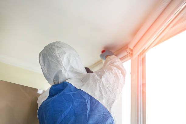 Mold Remediation for Vacation Homes in Kenmore, WA