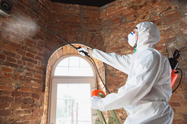 Mold Documentation for Insurance Claims in Kenmore, WA